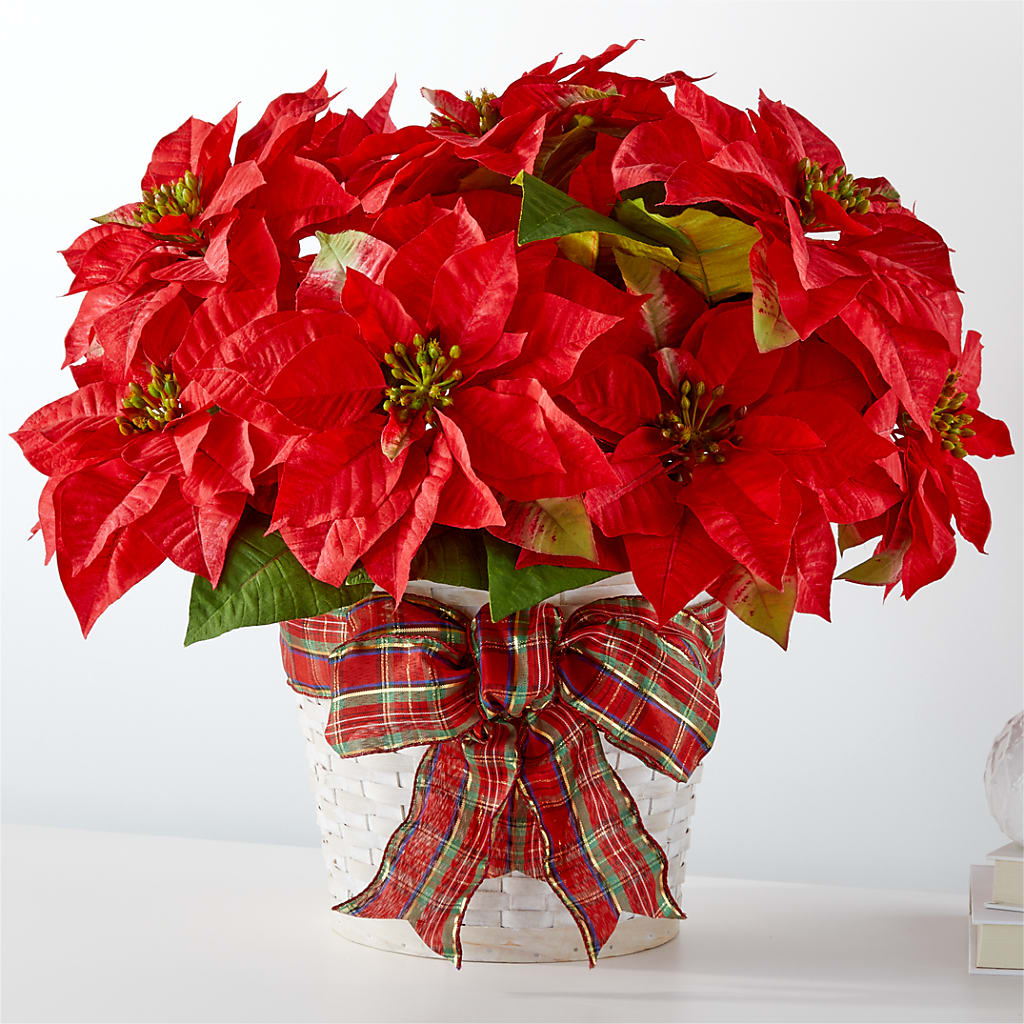 Happiest Holidays Poinsettia – FLOWERS & GIFTS BY ROBERTS, Pinetops NC