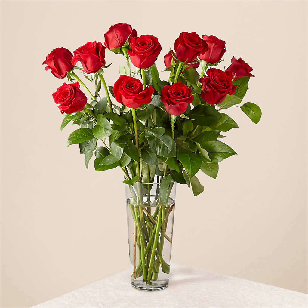 Long Stem Red Rose Bouquet – FLOWERS & GIFTS BY ROBERTS, Pinetops NC