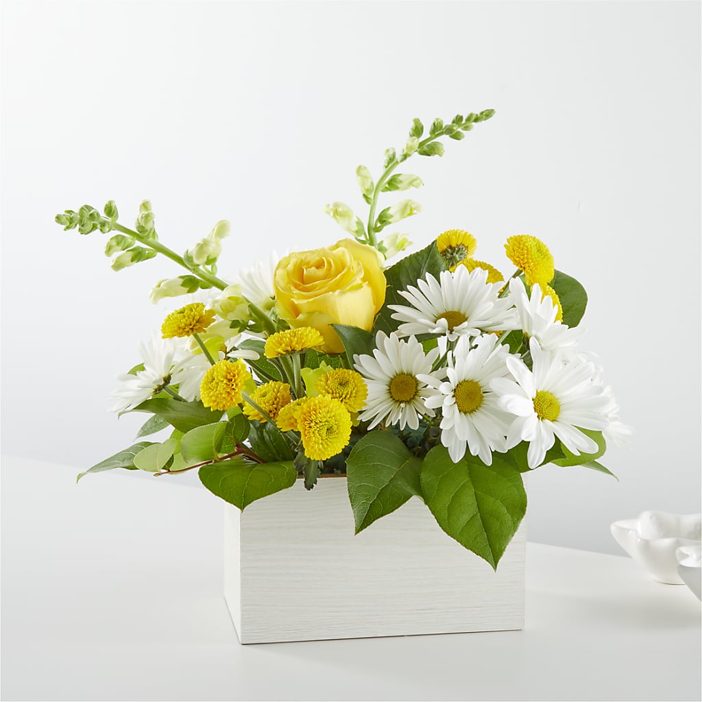 Sun Salutation Box Bouquet – FLOWERS & GIFTS BY ROBERTS, Pinetops NC