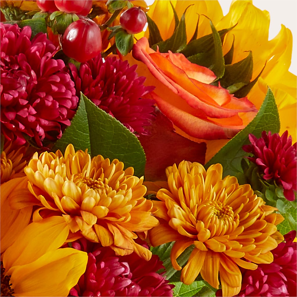 Sweater Season - A Florist Original – FLOWERS & GIFTS BY ROBERTS, Pinetops NC