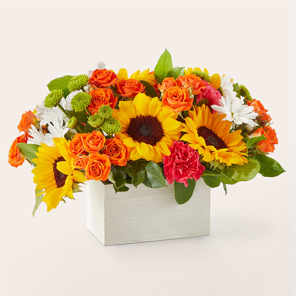 Sun-drenched Blooms Box Bouquet – FLOWERS & GIFTS BY ROBERTS, Pinetops NC