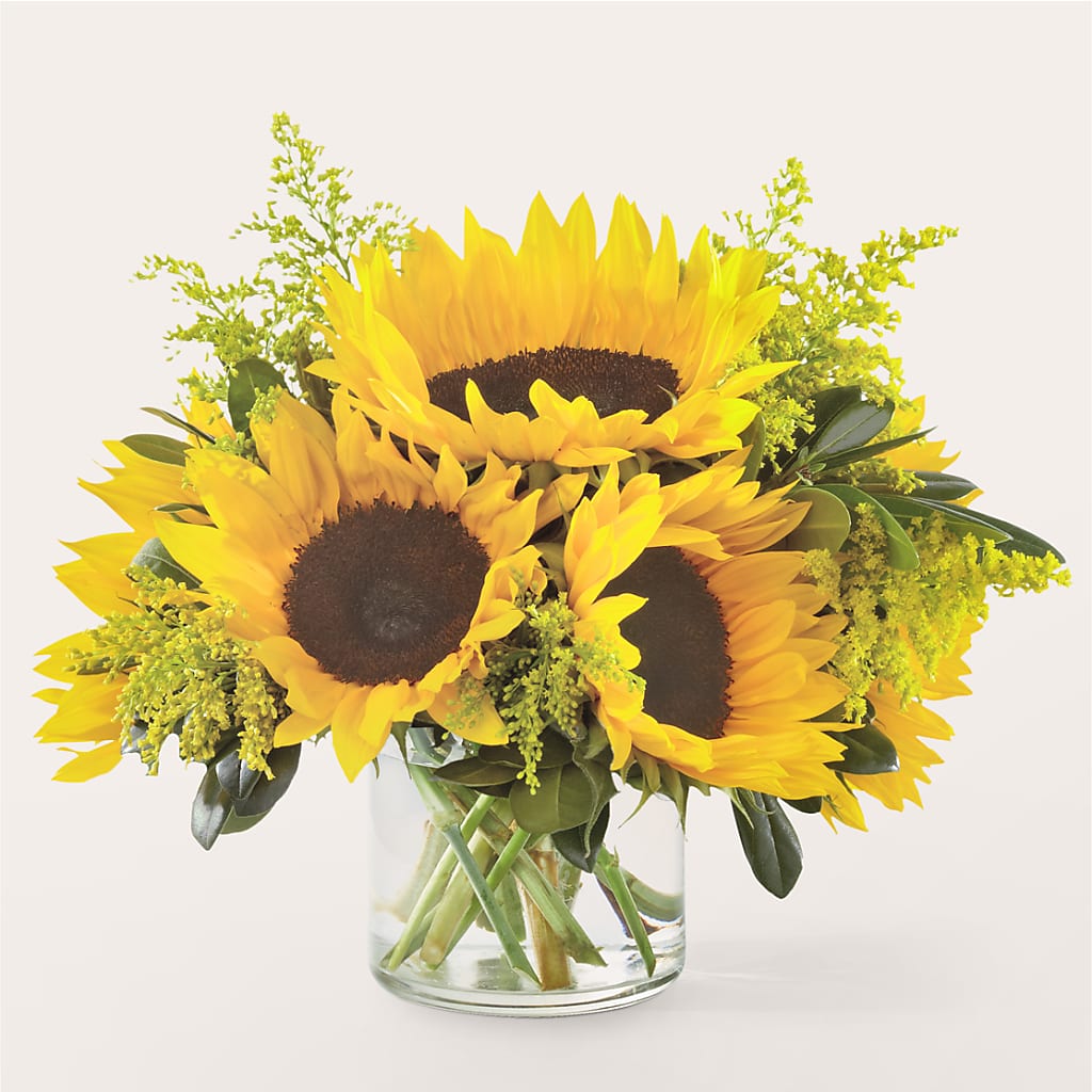 Beaming Sunflower Bouquet – FLOWERS & GIFTS BY ROBERTS, Pinetops NC