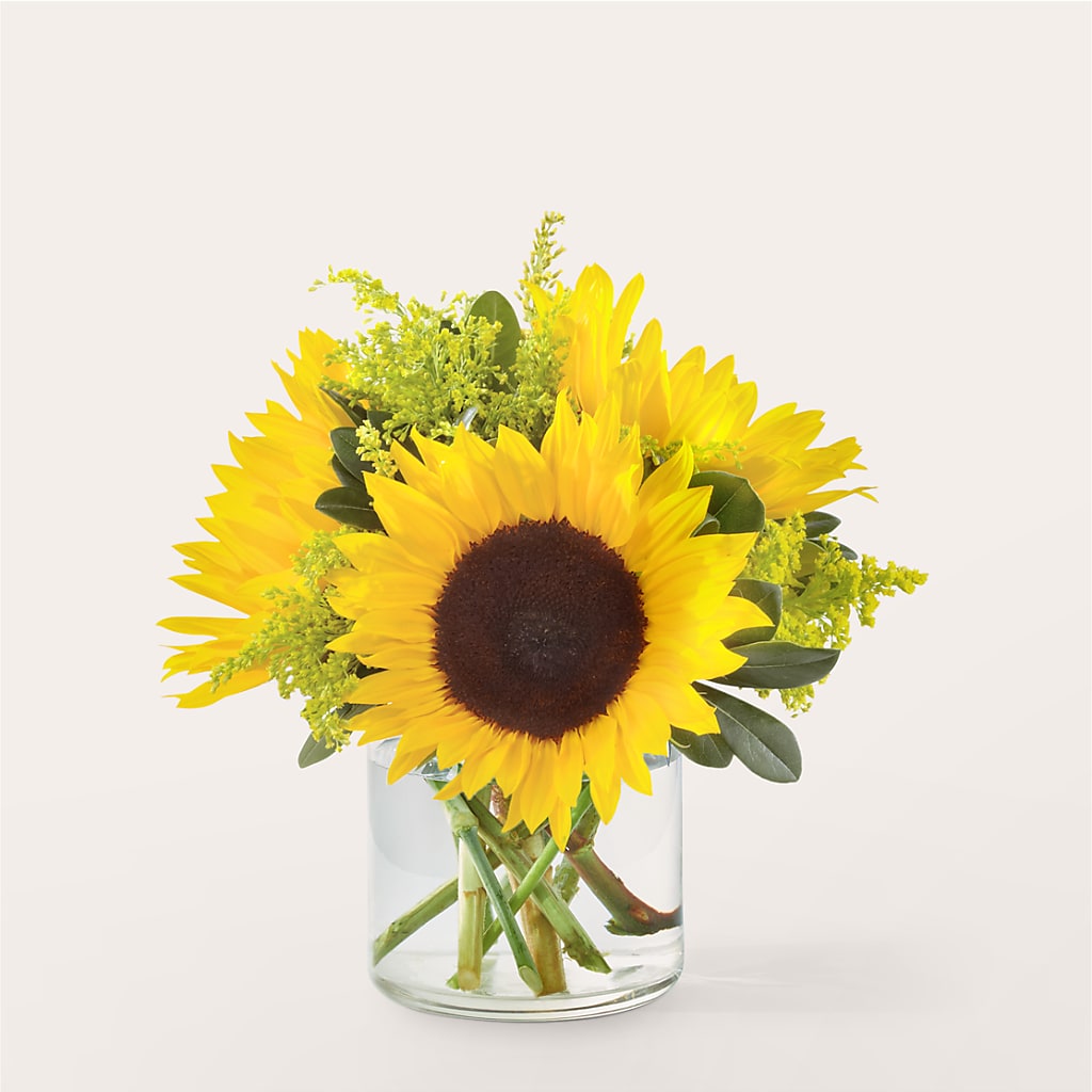 Beaming Sunflower Bouquet – FLOWERS & GIFTS BY ROBERTS, Pinetops NC