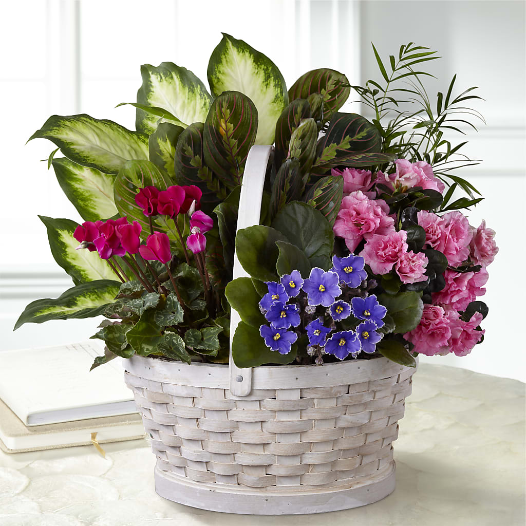 Peaceful Garden Planter – FLOWERS & GIFTS BY ROBERTS, Pinetops NC