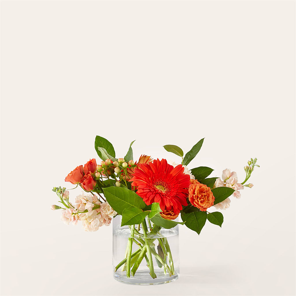 Paloma Please Bouquet – FLOWERS & GIFTS BY ROBERTS, Pinetops NC