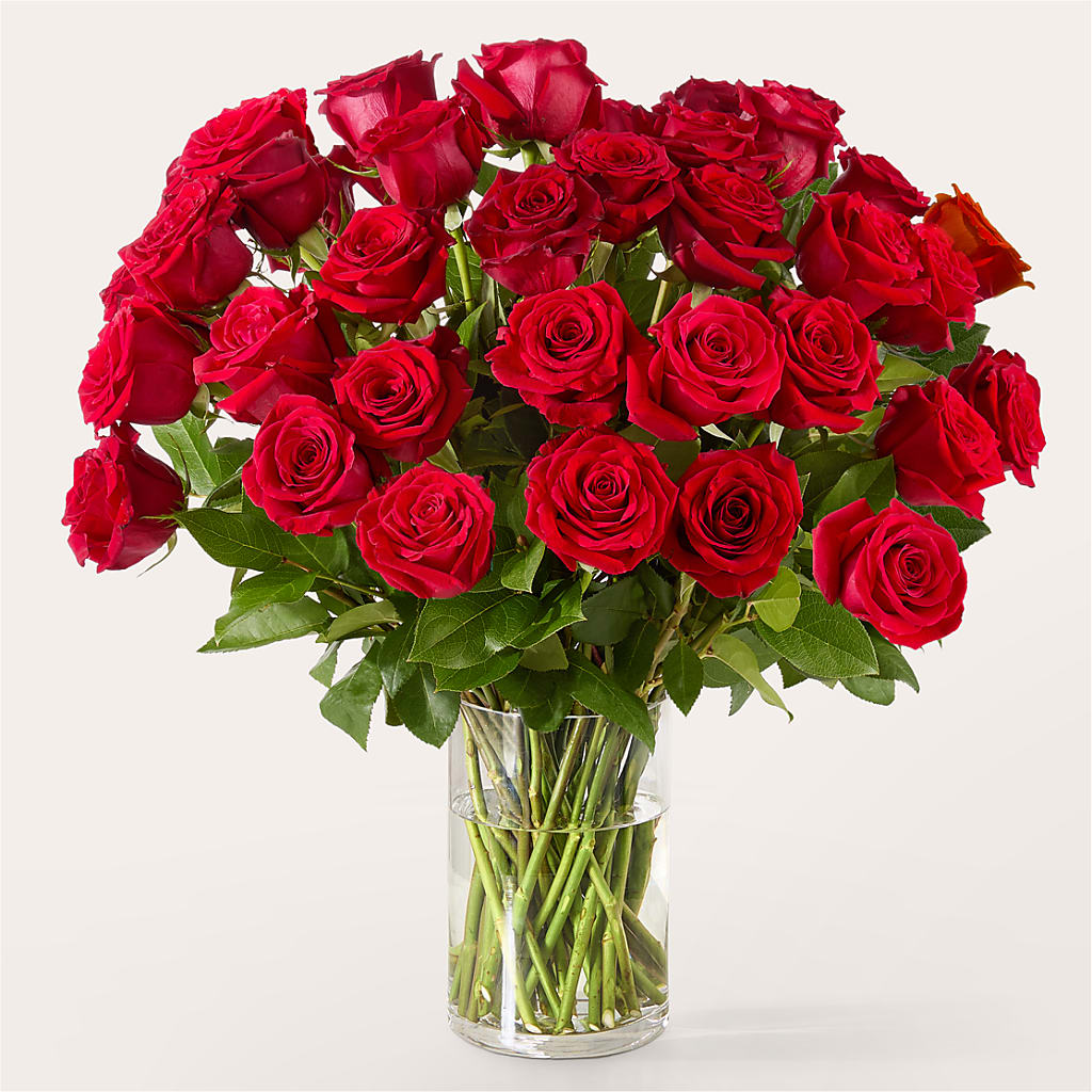 The One Red Rose Bouquet – FLOWERS & GIFTS BY ROBERTS, Pinetops NC