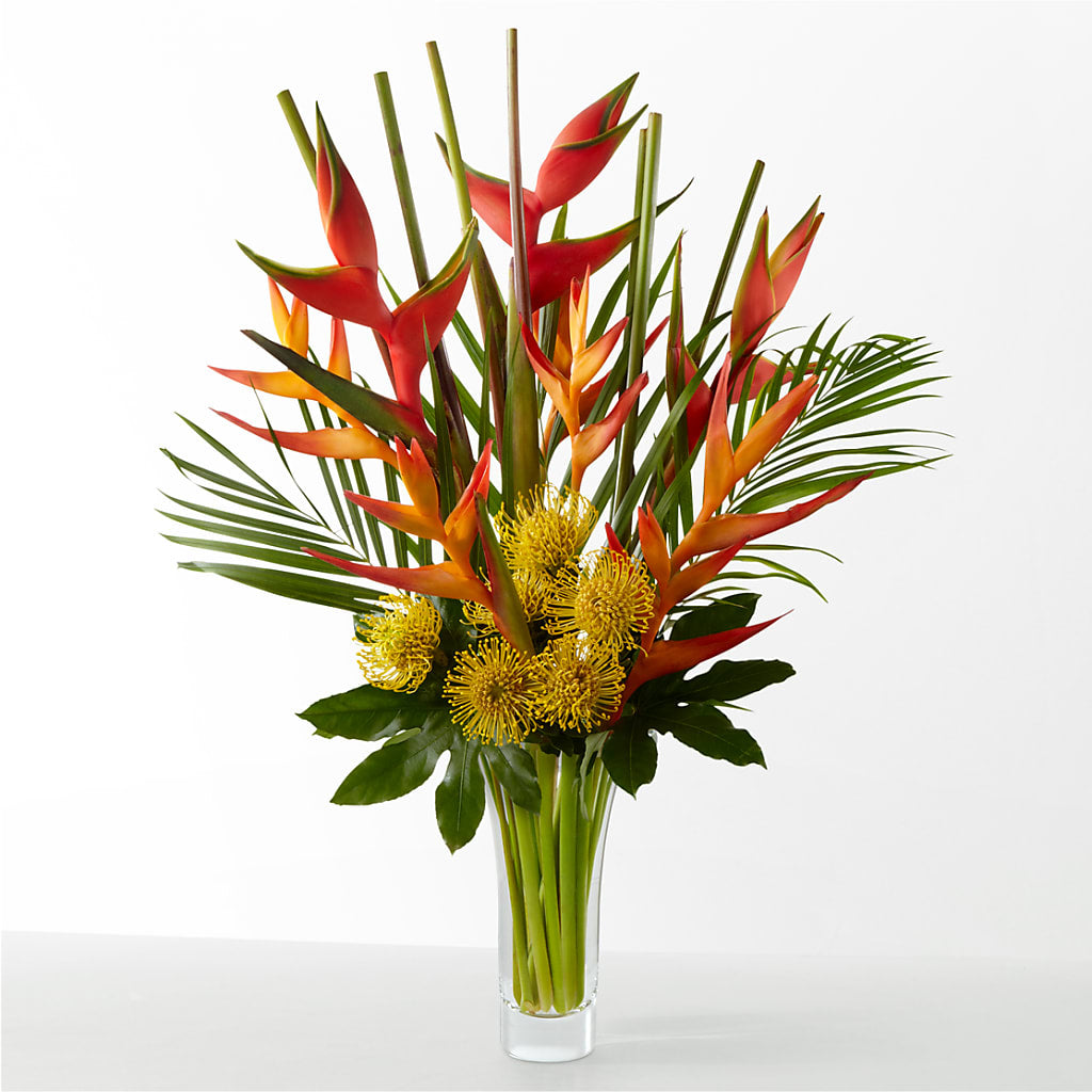 The Drama – FLOWERS & GIFTS BY ROBERTS, Pinetops NC