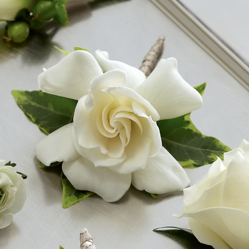 Gardenia Boutonniere – FLOWERS & GIFTS BY ROBERTS, Pinetops NC