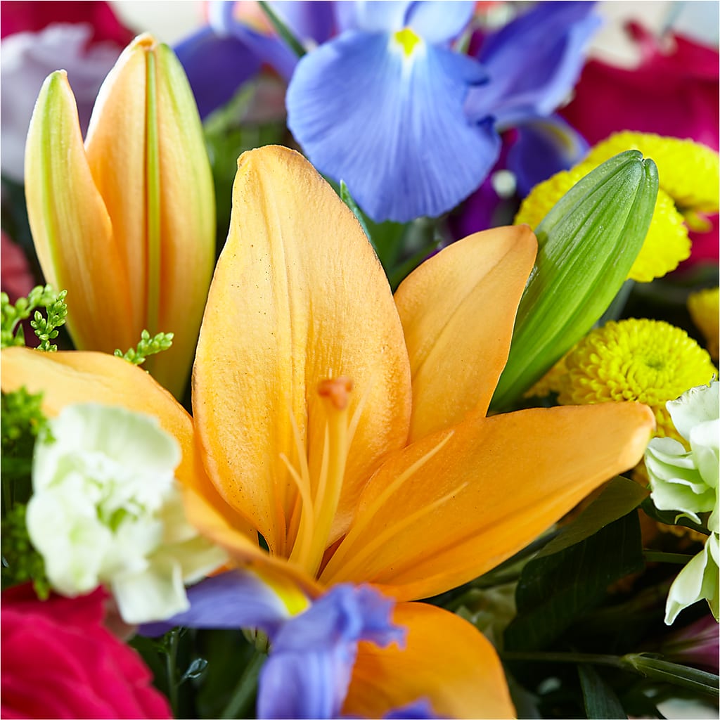 Bold & Bright – A Florist Original – FLOWERS & GIFTS BY ROBERTS, Pinetops NC