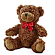 Adorable Plush Bear – FLOWERS & GIFTS BY ROBERTS, Pinetops NC