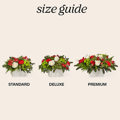 Snow What Fun Bouquet – FLOWERS & GIFTS BY ROBERTS, Pinetops NC