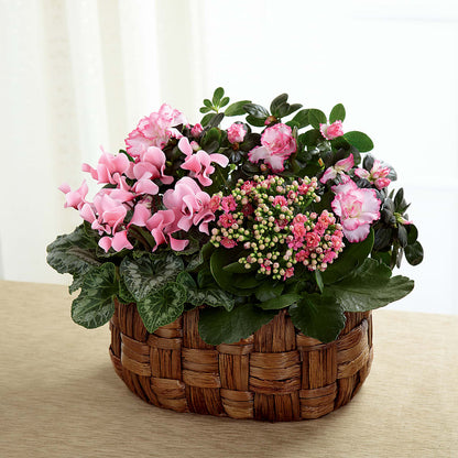 Pink Assortment – FLOWERS & GIFTS BY ROBERTS, Pinetops NC