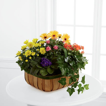 Gentle Blossoms Basket – FLOWERS & GIFTS BY ROBERTS, Pinetops NC
