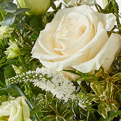 Cashmere Bouquet – FLOWERS & GIFTS BY ROBERTS, Pinetops NC