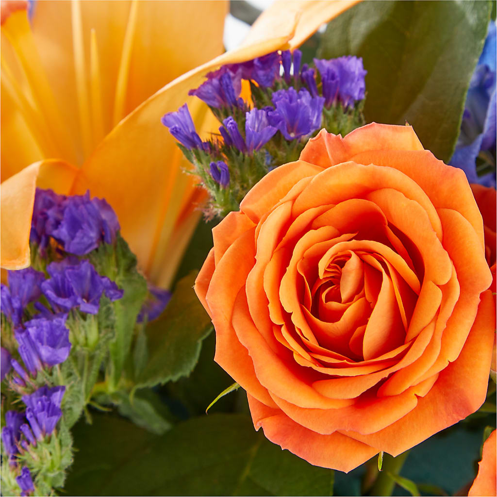 Radiant Citrus Box Bouquet – FLOWERS & GIFTS BY ROBERTS, Pinetops NC