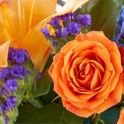 Radiant Citrus Box Bouquet – FLOWERS & GIFTS BY ROBERTS, Pinetops NC