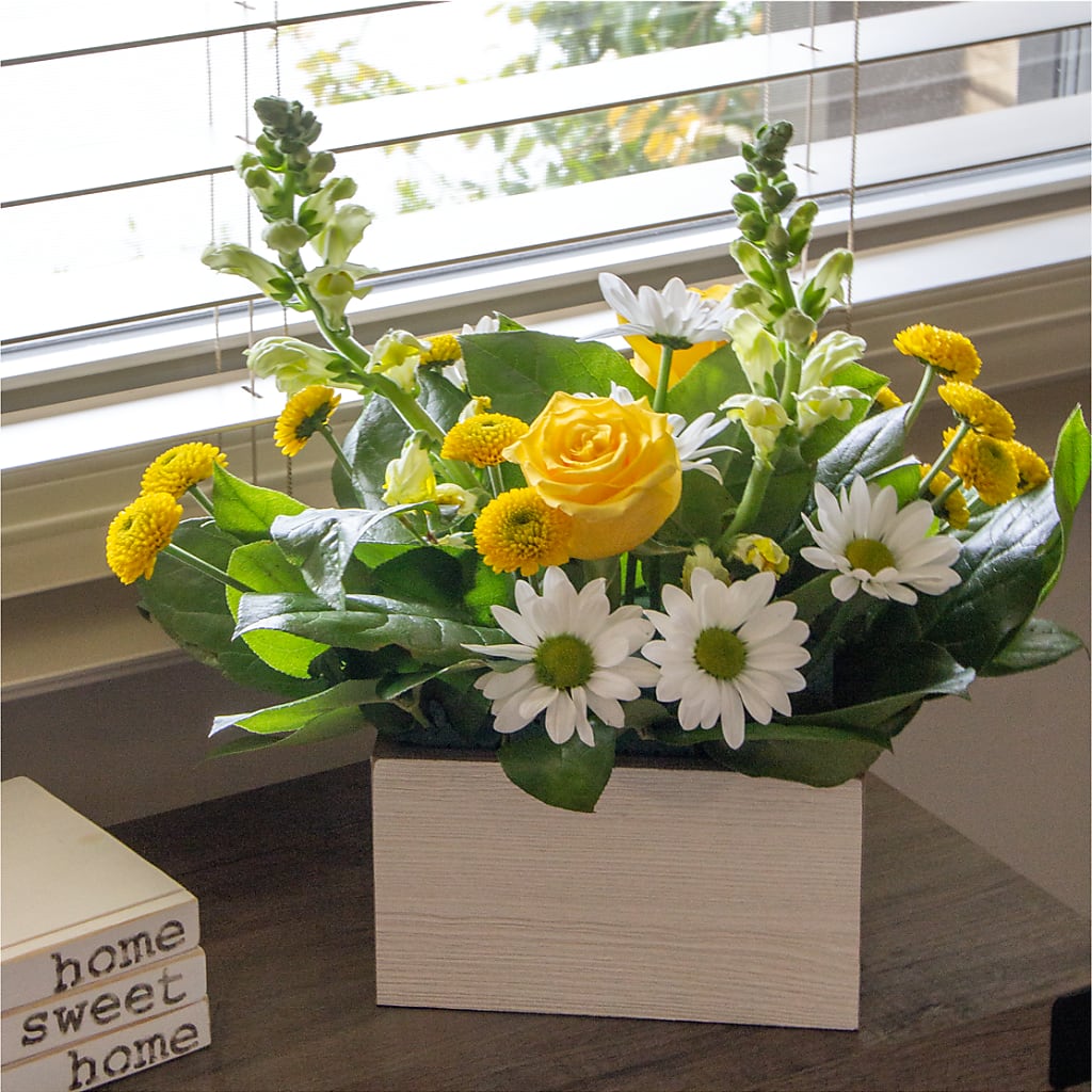 Sun Salutation Box Bouquet – FLOWERS & GIFTS BY ROBERTS, Pinetops NC