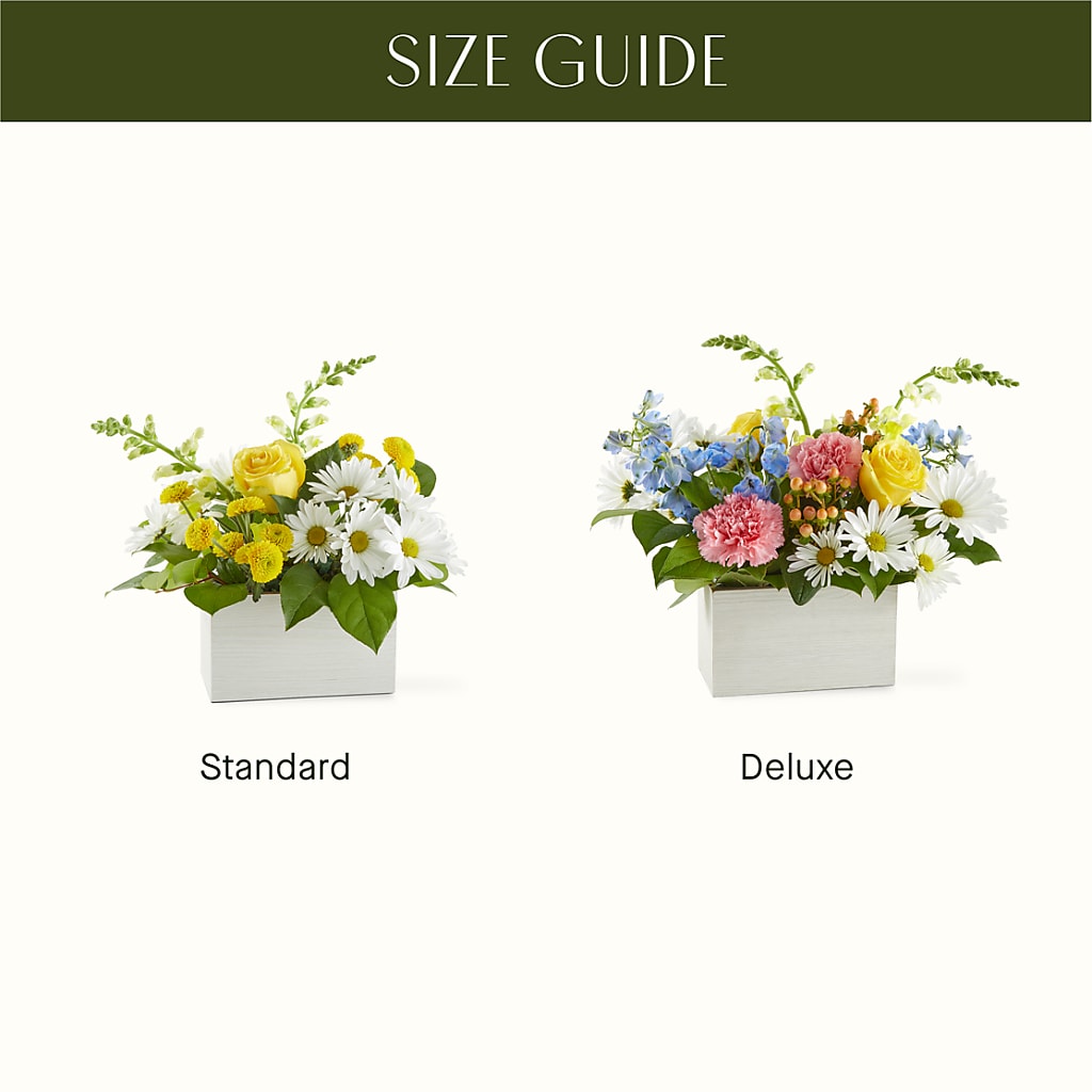 Sun Salutation Box Bouquet – FLOWERS & GIFTS BY ROBERTS, Pinetops NC