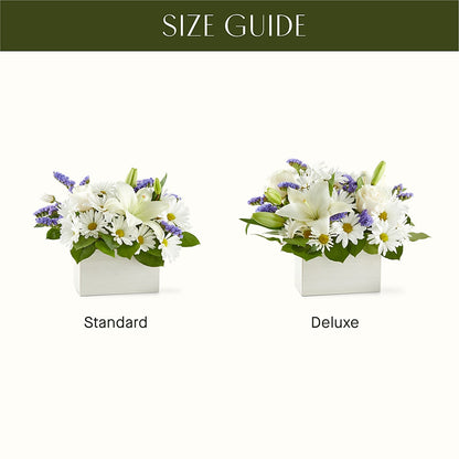 Beyond Blue Box Bouquet – FLOWERS & GIFTS BY ROBERTS, Pinetops NC