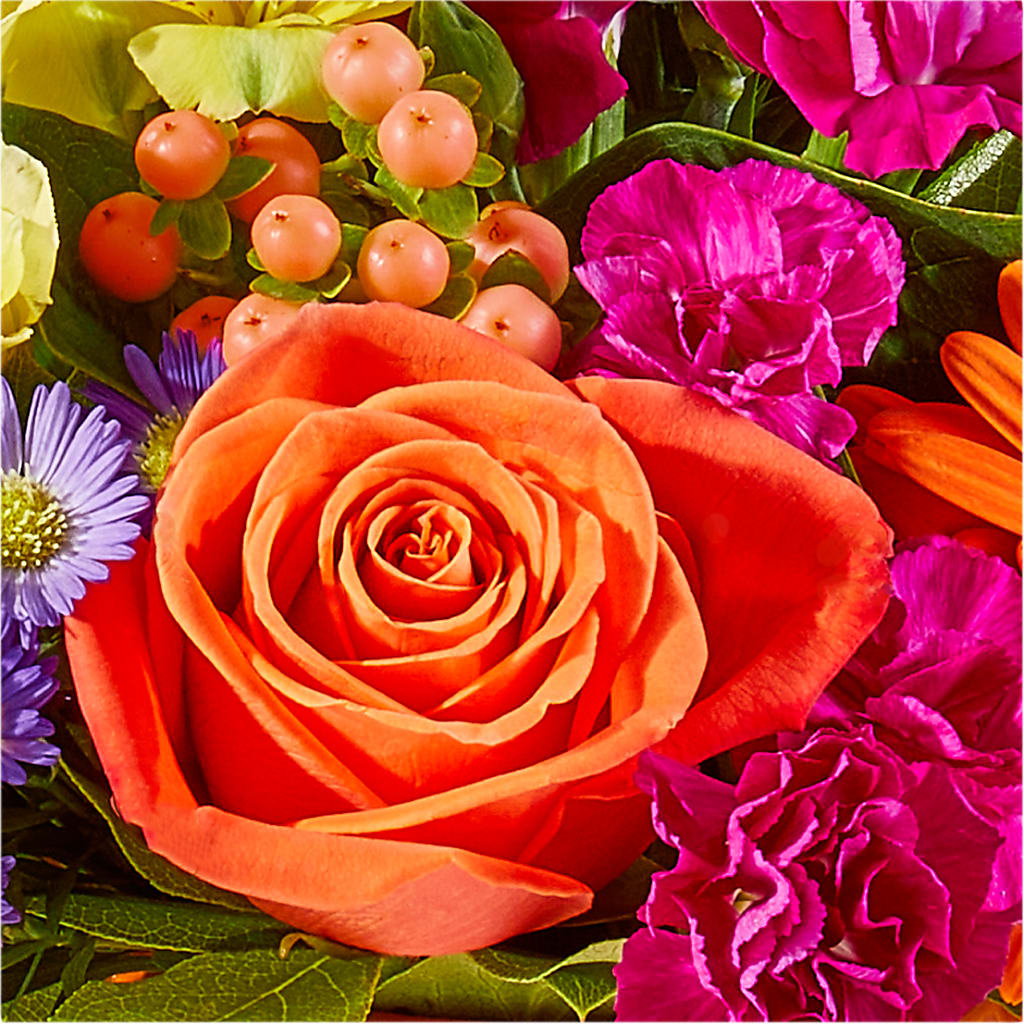Tricks & Treats Pumpkin – FLOWERS & GIFTS BY ROBERTS, Pinetops NC