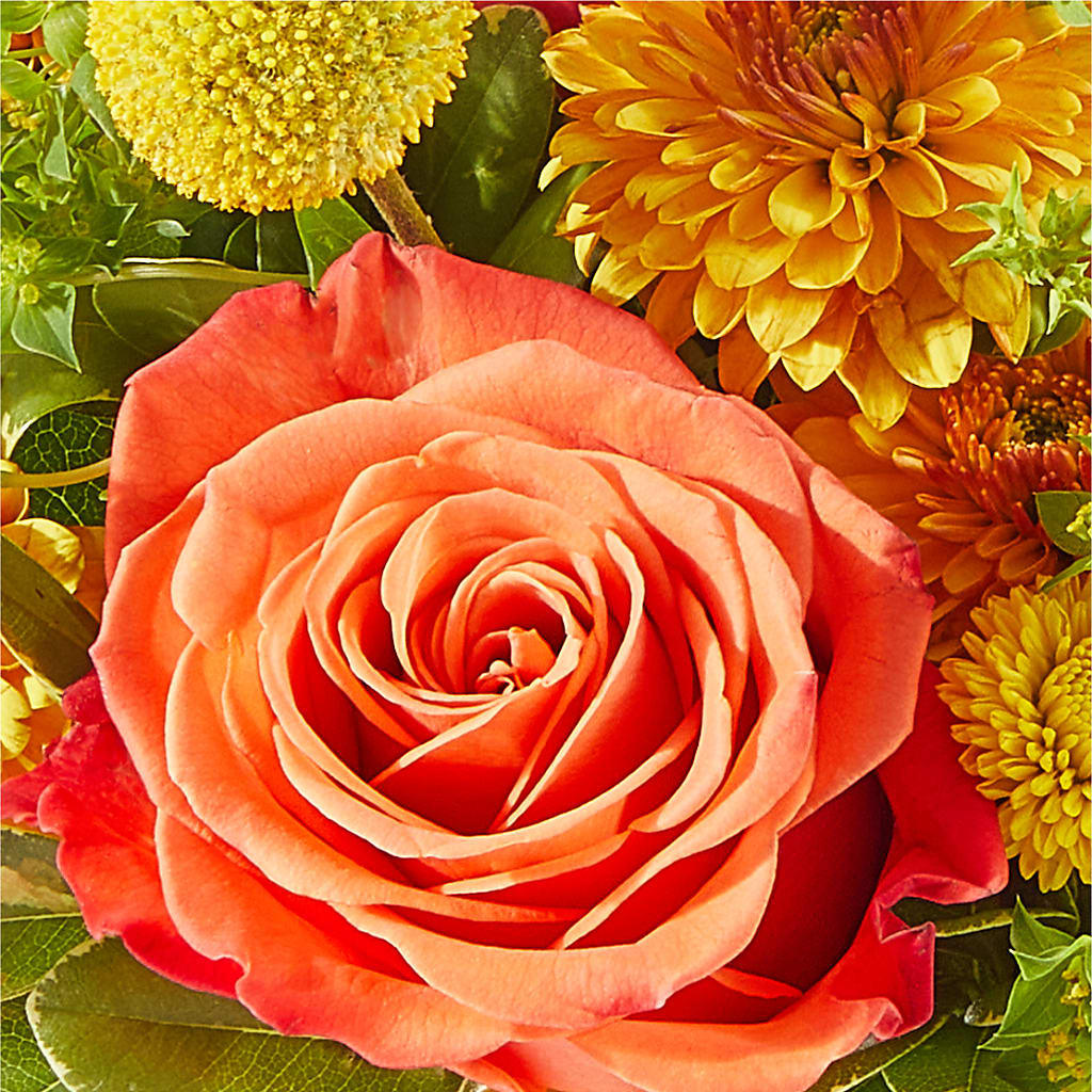 Gourdgeous Pumpkin – FLOWERS & GIFTS BY ROBERTS, Pinetops NC