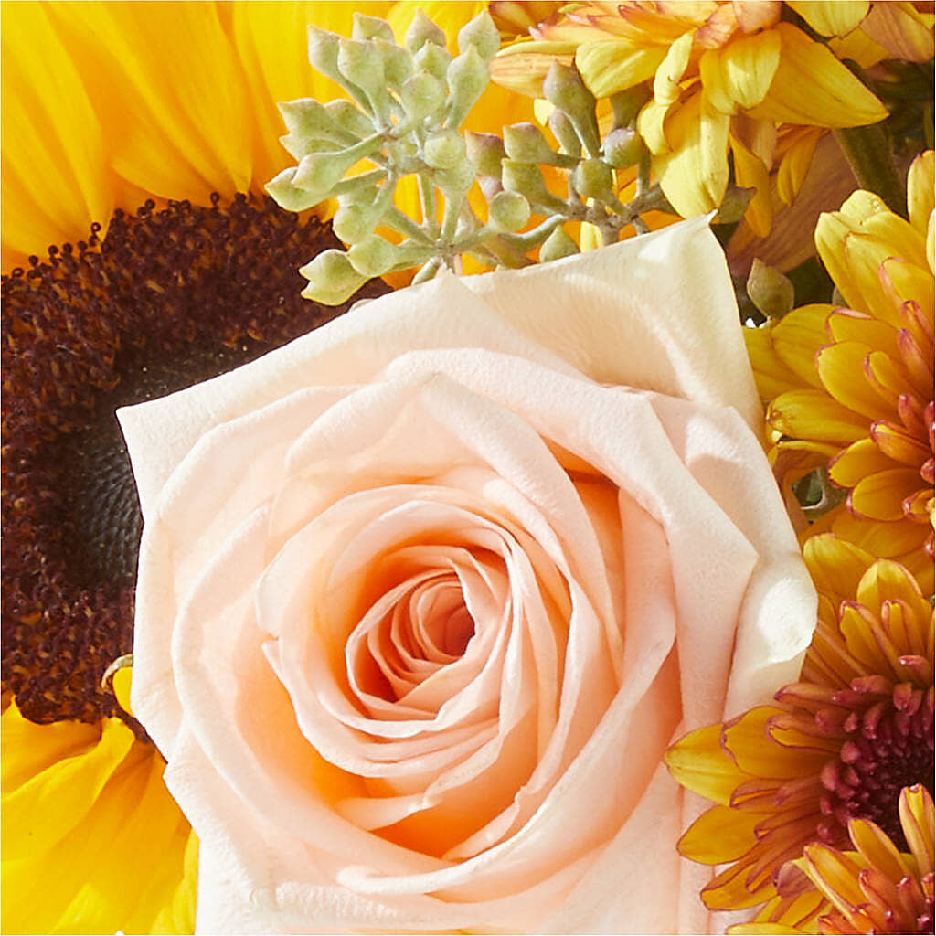 Pumpkin to Talk About Bouquet – FLOWERS & GIFTS BY ROBERTS, Pinetops NC