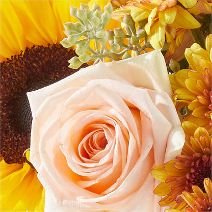 Pumpkin to Talk About Bouquet – FLOWERS & GIFTS BY ROBERTS, Pinetops NC