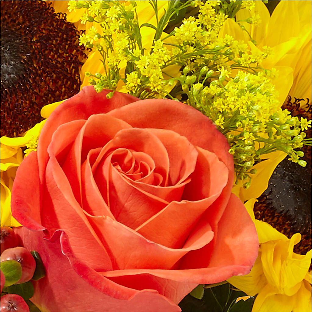Pick of the Patch Pumpkin Bouquet – FLOWERS & GIFTS BY ROBERTS, Pinetops NC