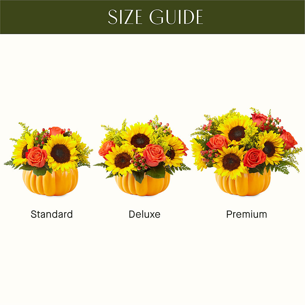Pick of the Patch Pumpkin Bouquet – FLOWERS & GIFTS BY ROBERTS, Pinetops NC