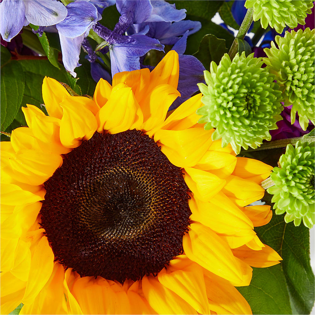 Catching Rays Bouquet – FLOWERS & GIFTS BY ROBERTS, Pinetops NC