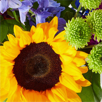 Catching Rays Bouquet – FLOWERS & GIFTS BY ROBERTS, Pinetops NC