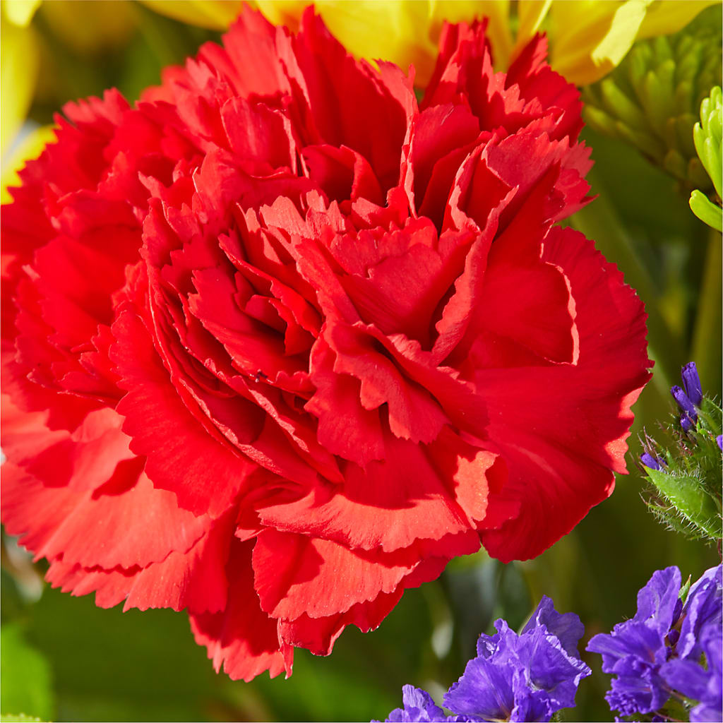 Brighter Days Bouquet – FLOWERS & GIFTS BY ROBERTS, Pinetops NC