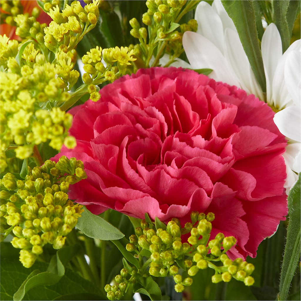 Oopsie Daisy Bouquet – FLOWERS & GIFTS BY ROBERTS, Pinetops NC