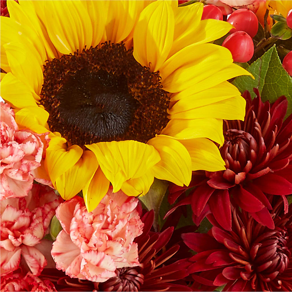 Fresh Cider Bouquet – FLOWERS & GIFTS BY ROBERTS, Pinetops NC