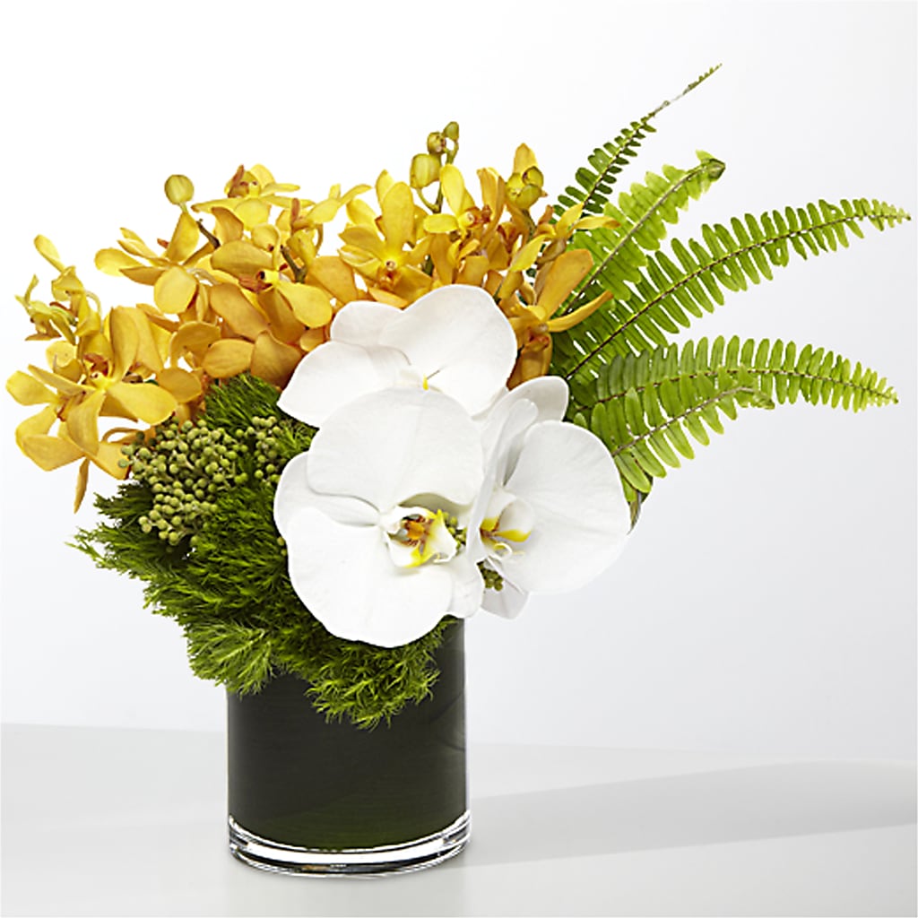 The Tropics – FLOWERS & GIFTS BY ROBERTS, Pinetops NC
