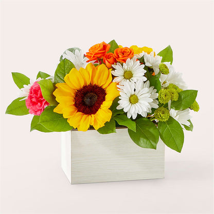 Sun-drenched Blooms Box Bouquet – FLOWERS & GIFTS BY ROBERTS, Pinetops NC