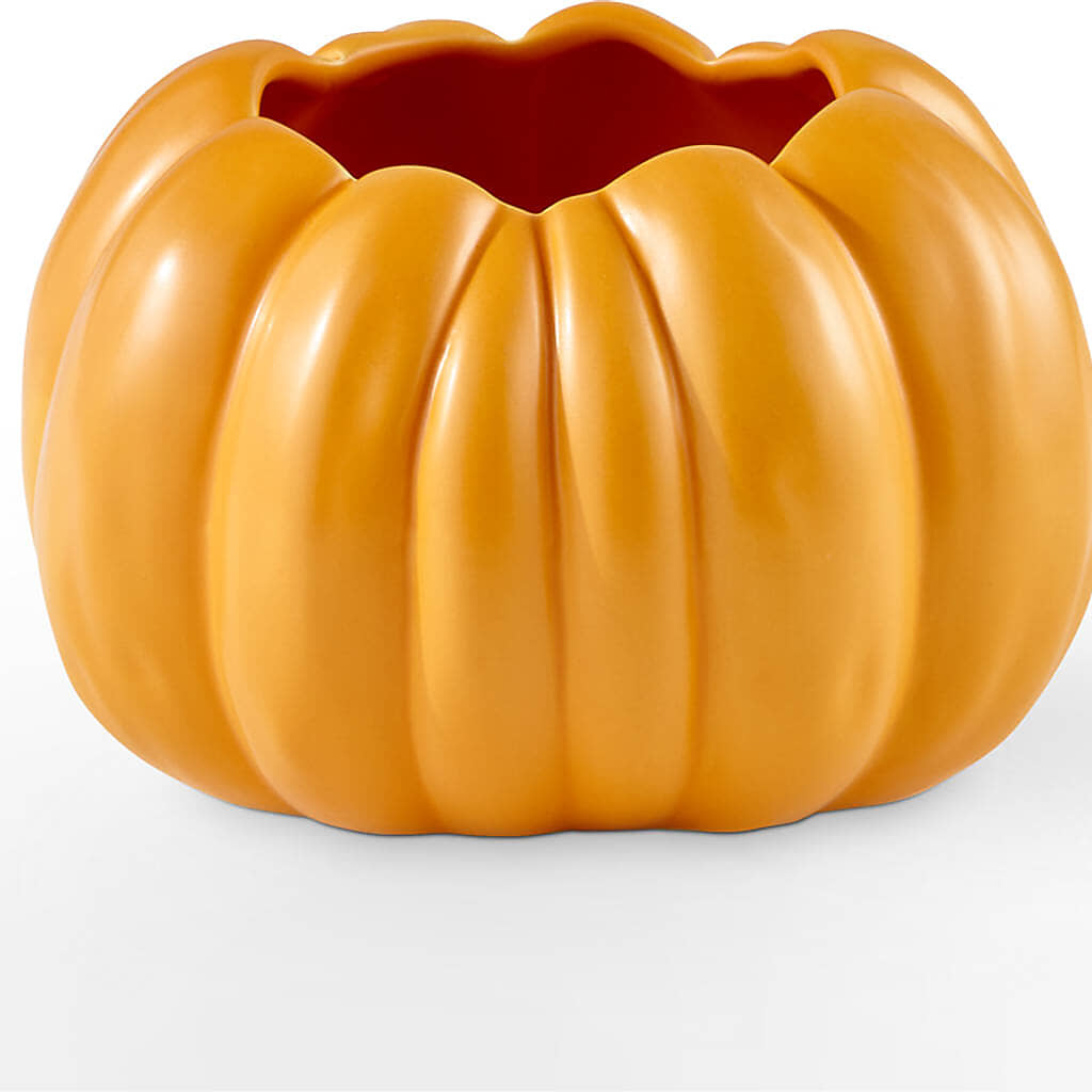 Golden Gourd Pumpkin Bouquet – FLOWERS & GIFTS BY ROBERTS, Pinetops NC