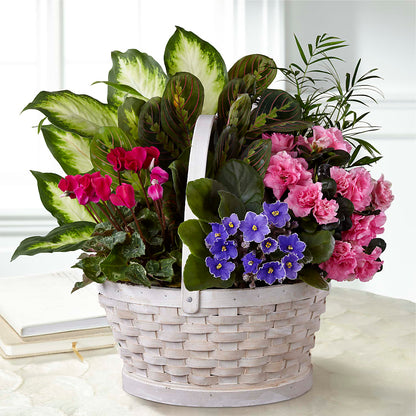 Peaceful Garden Planter – FLOWERS & GIFTS BY ROBERTS, Pinetops NC