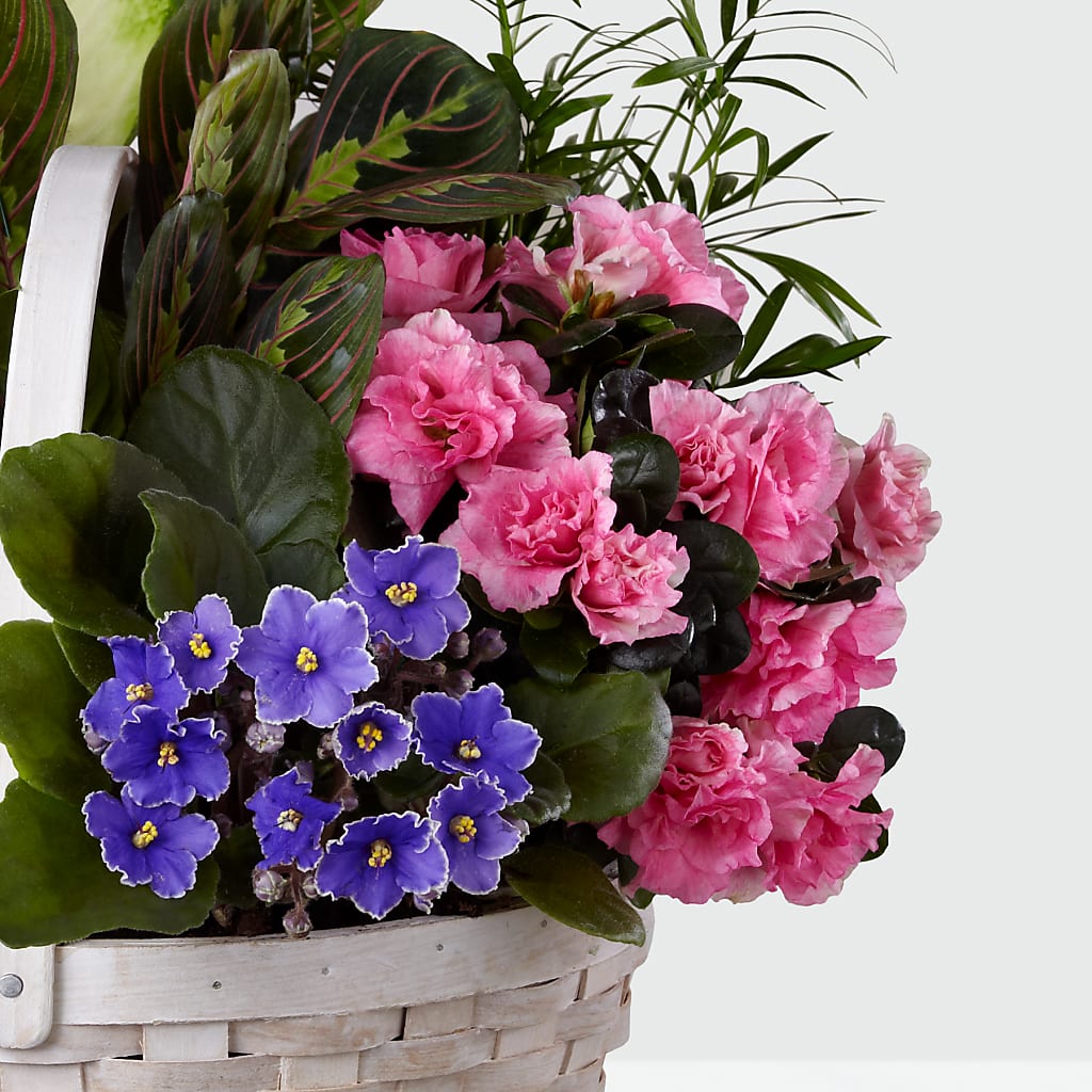 Peaceful Garden Planter – FLOWERS & GIFTS BY ROBERTS, Pinetops NC