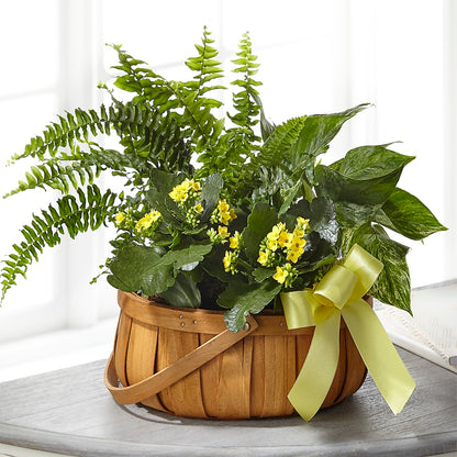 Always Dear Dishgarden – FLOWERS & GIFTS BY ROBERTS, Pinetops NC