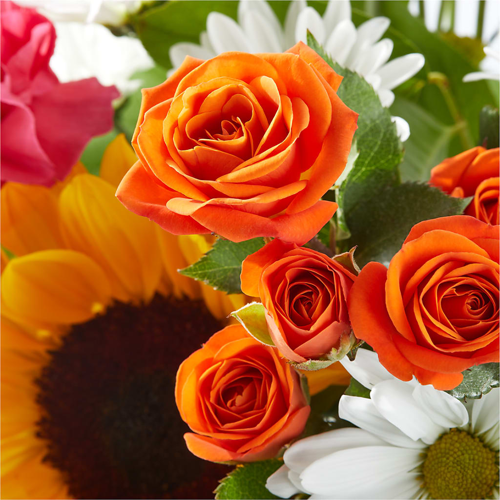 Sun-drenched Blooms Bouquet – FLOWERS & GIFTS BY ROBERTS, Pinetops NC