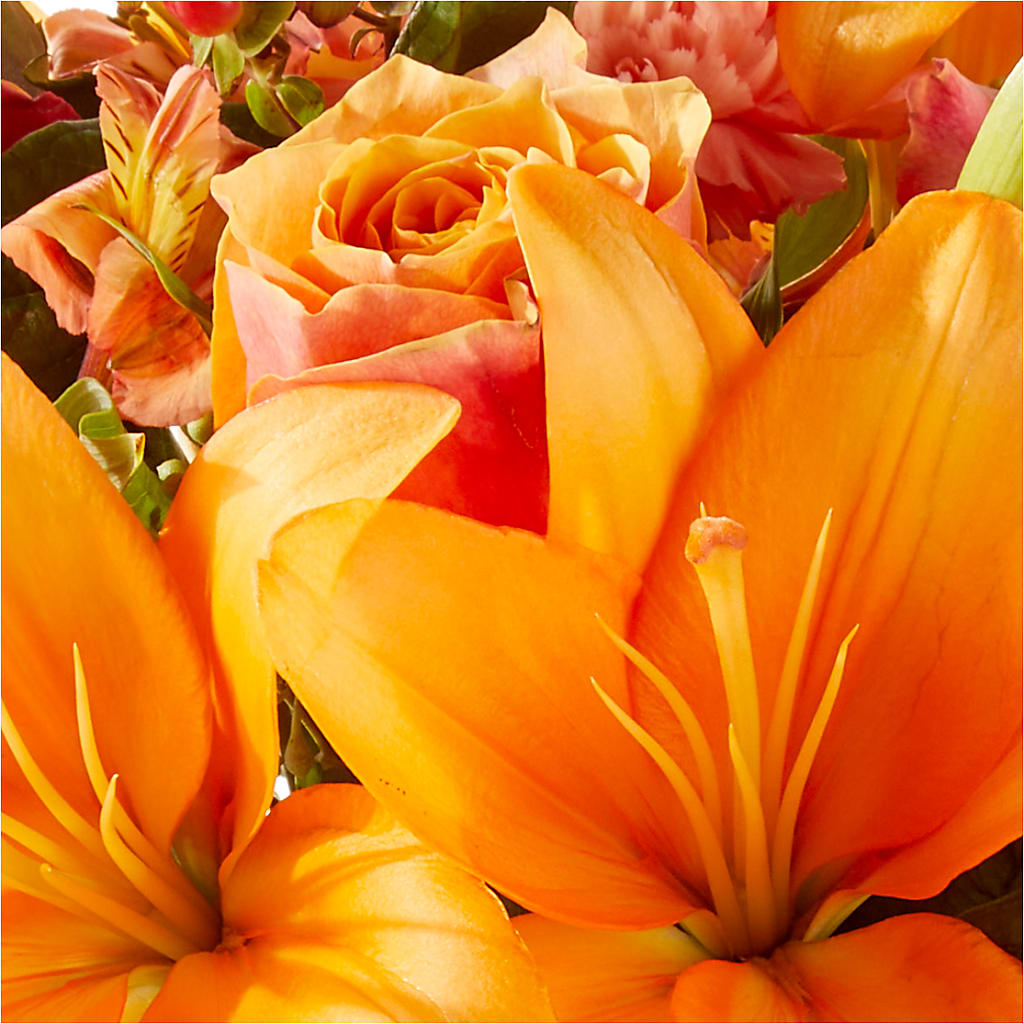 Afternoon Light Bouquet – FLOWERS & GIFTS BY ROBERTS, Pinetops NC
