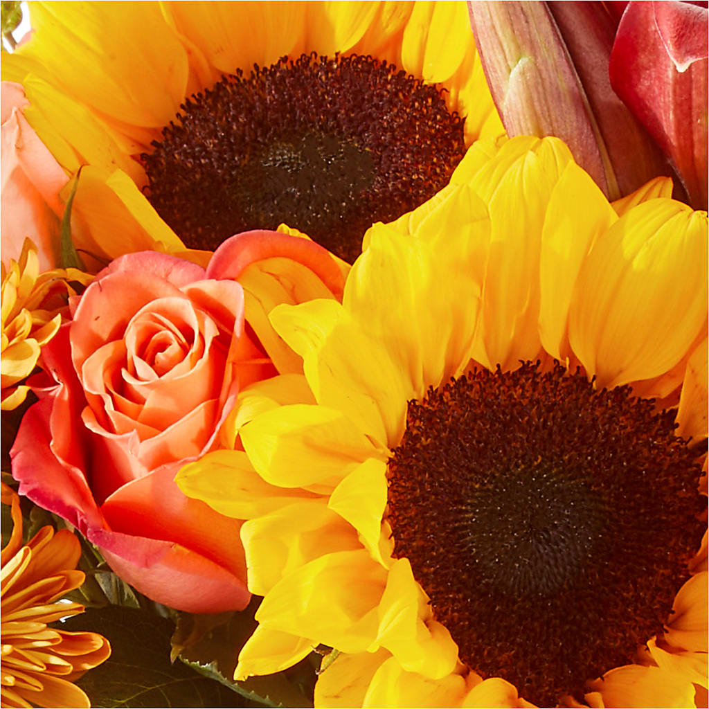 Acorn Lane Bouquet – FLOWERS & GIFTS BY ROBERTS, Pinetops NC