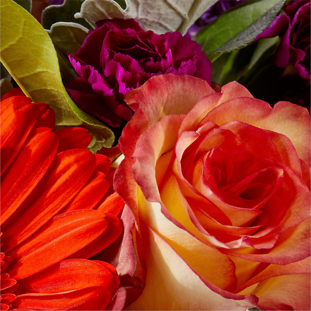 Sangria Bouquet – FLOWERS & GIFTS BY ROBERTS, Pinetops NC