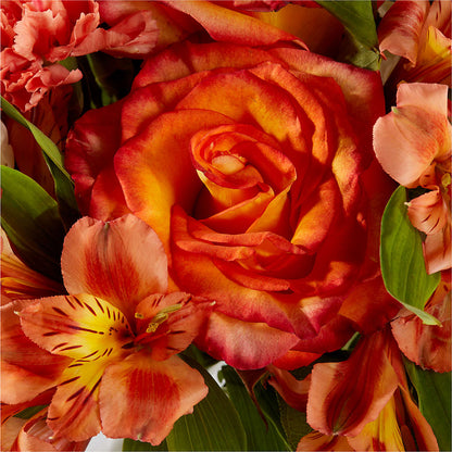 Apricot Glow Bouquet – FLOWERS & GIFTS BY ROBERTS, Pinetops NC