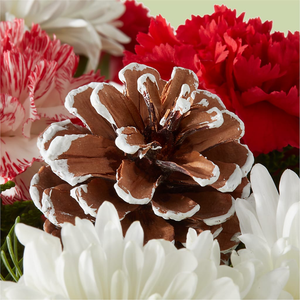 Candy Cane Lane Bouquet – FLOWERS & GIFTS BY ROBERTS, Pinetops NC
