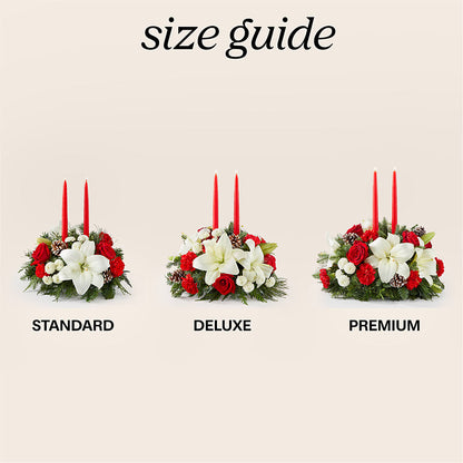 Seasonal Festivities Centerpiece – FLOWERS & GIFTS BY ROBERTS, Pinetops NC