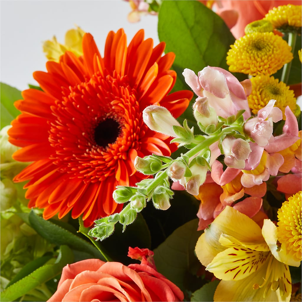 Autumn Sunshine Bouquet – FLOWERS & GIFTS BY ROBERTS, Pinetops NC
