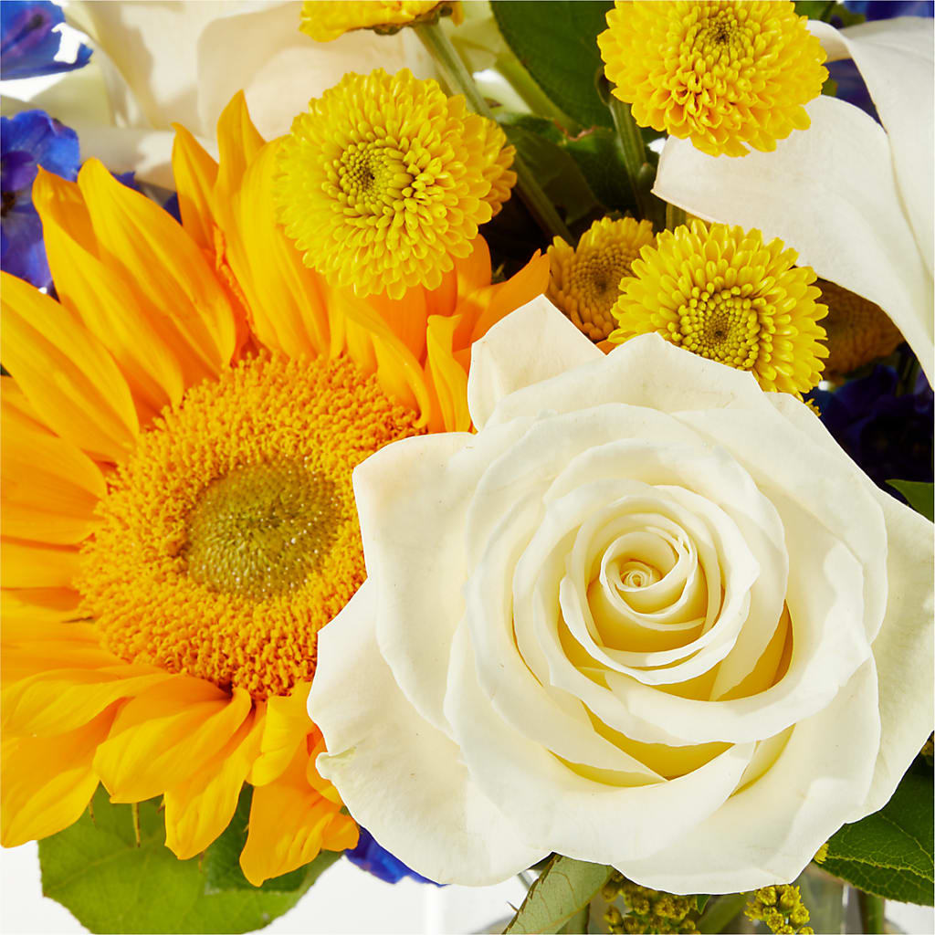 Stargazing Bouquet – FLOWERS & GIFTS BY ROBERTS, Pinetops NC
