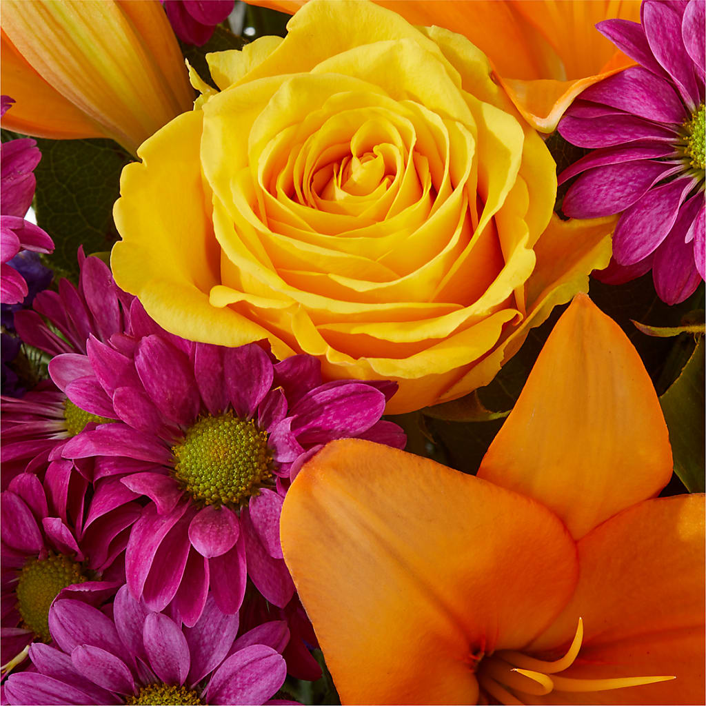 Colorful Visions Bouquet – FLOWERS & GIFTS BY ROBERTS, Pinetops NC